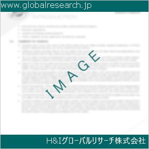 グローバルリサーチ調査資料のイメージ